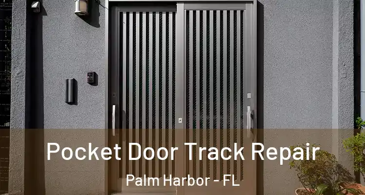 Pocket Door Track Repair Palm Harbor - FL
