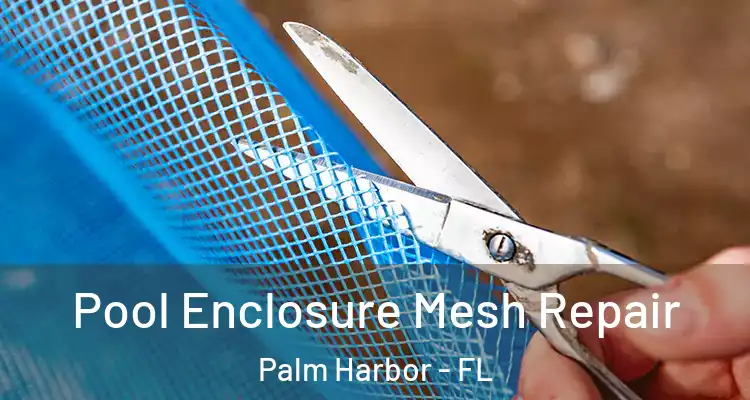 Pool Enclosure Mesh Repair Palm Harbor - FL