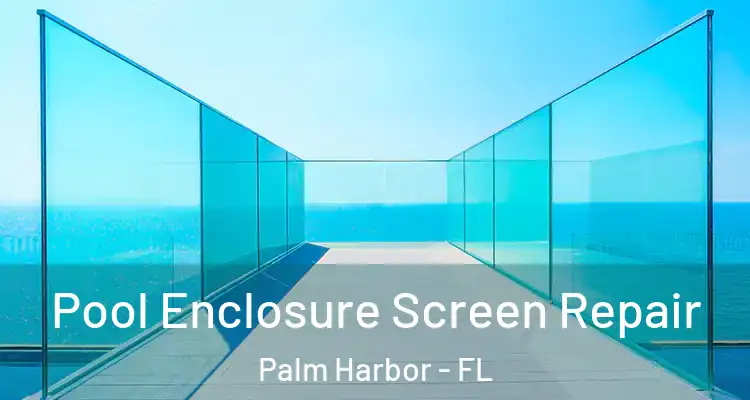 Pool Enclosure Screen Repair Palm Harbor - FL