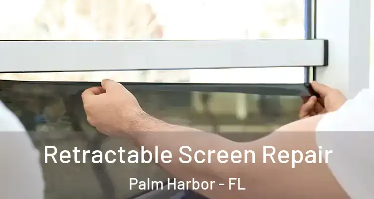 Retractable Screen Repair Palm Harbor - FL