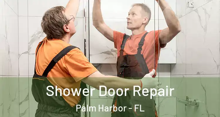 Shower Door Repair Palm Harbor - FL