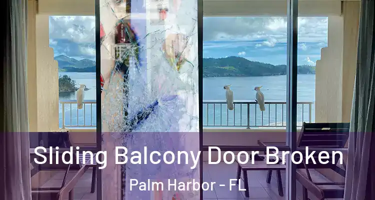 Sliding Balcony Door Broken Palm Harbor - FL