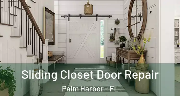 Sliding Closet Door Repair Palm Harbor - FL