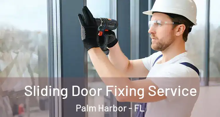 Sliding Door Fixing Service Palm Harbor - FL
