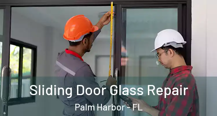 Sliding Door Glass Repair Palm Harbor - FL