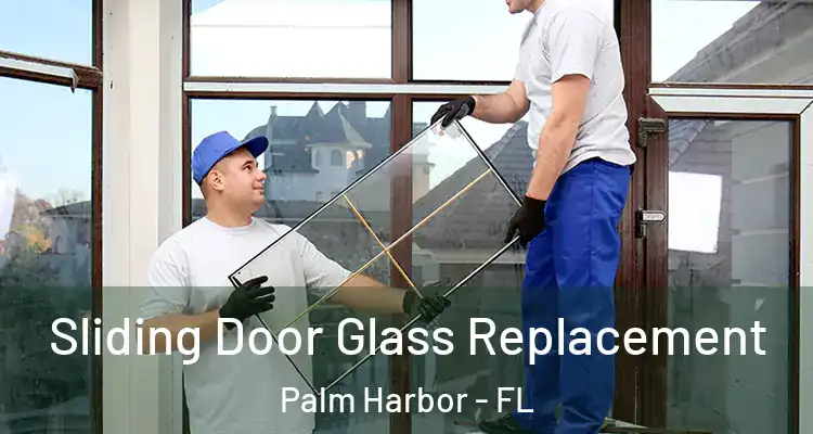 Sliding Door Glass Replacement Palm Harbor - FL
