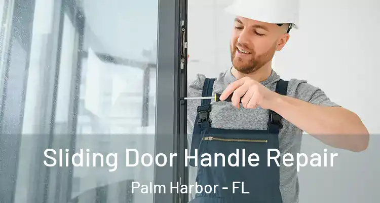 Sliding Door Handle Repair Palm Harbor - FL