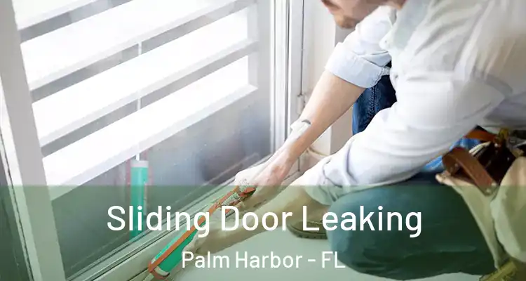 Sliding Door Leaking Palm Harbor - FL
