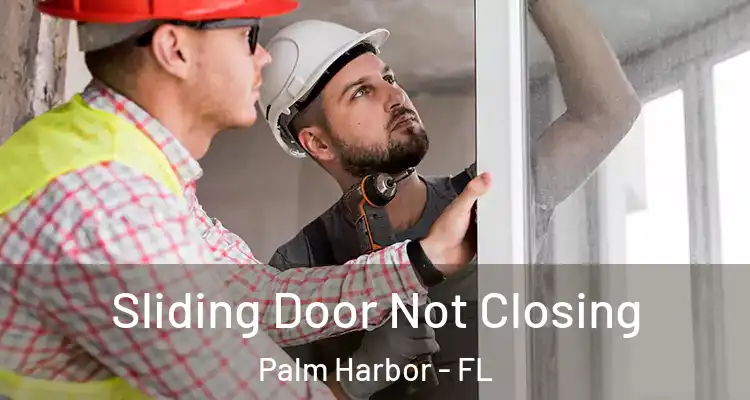 Sliding Door Not Closing Palm Harbor - FL