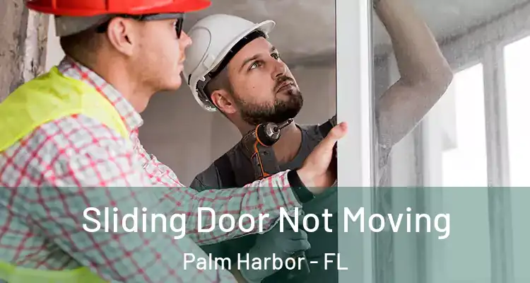 Sliding Door Not Moving Palm Harbor - FL