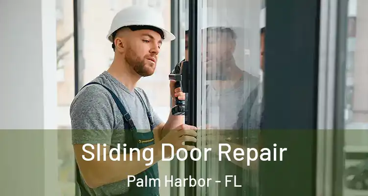Sliding Door Repair Palm Harbor - FL