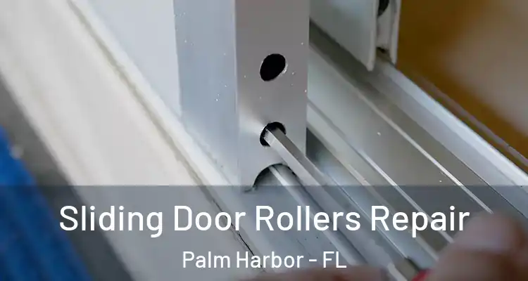 Sliding Door Rollers Repair Palm Harbor - FL