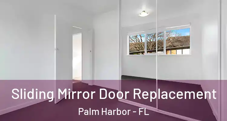 Sliding Mirror Door Replacement Palm Harbor - FL
