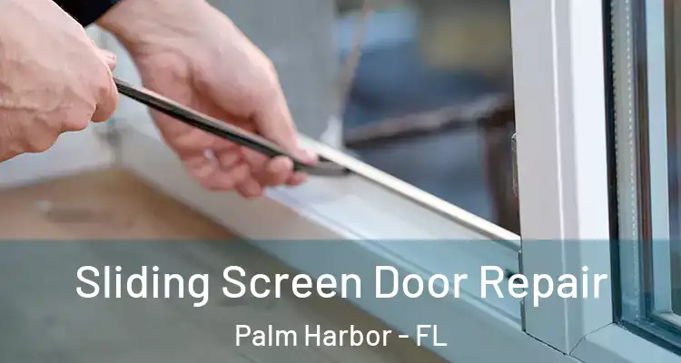 Sliding Screen Door Repair Palm Harbor - FL