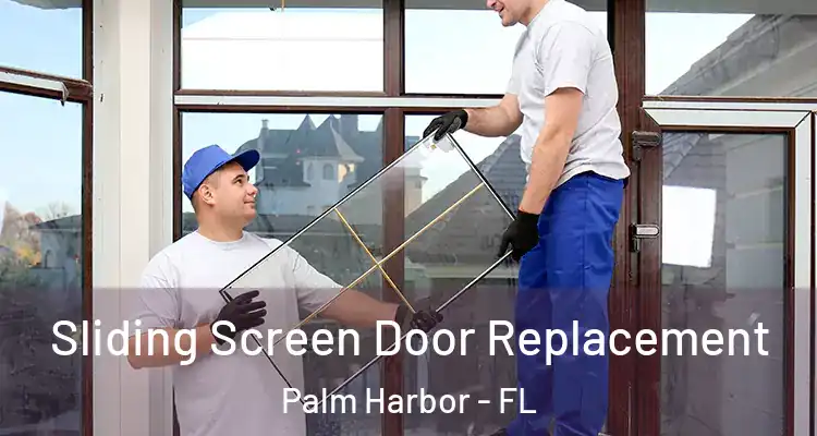 Sliding Screen Door Replacement Palm Harbor - FL