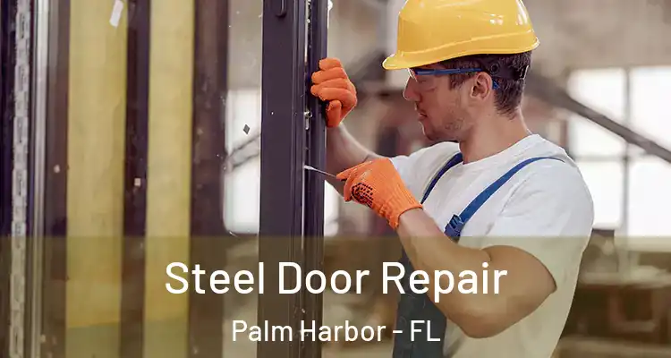 Steel Door Repair Palm Harbor - FL