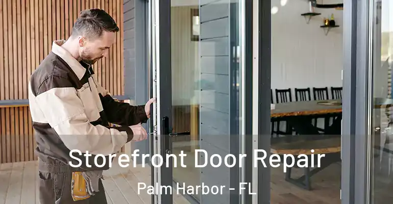 Storefront Door Repair Palm Harbor - FL