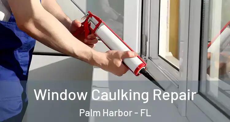 Window Caulking Repair Palm Harbor - FL