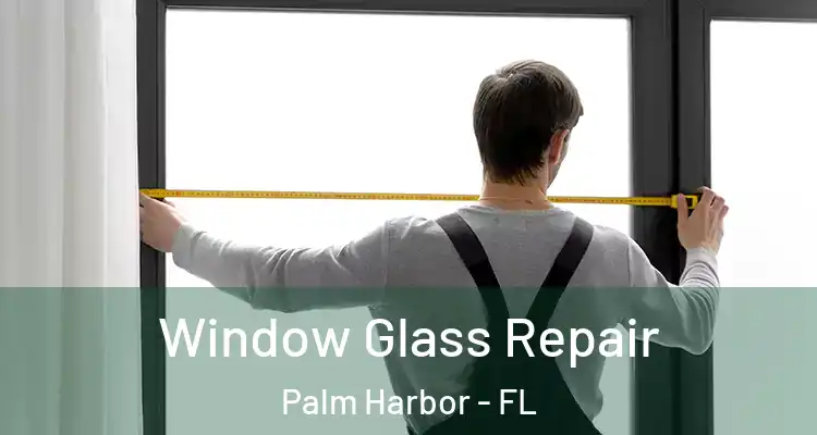 Window Glass Repair Palm Harbor - FL