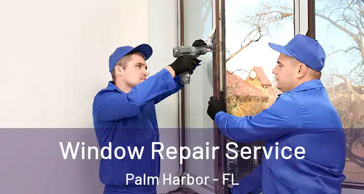 Window Repair Service Palm Harbor - FL