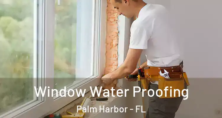 Window Water Proofing Palm Harbor - FL