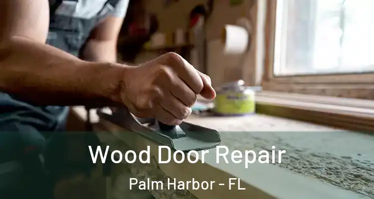 Wood Door Repair Palm Harbor - FL